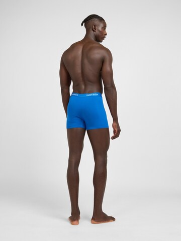 WOTEGA Boxer shorts 'Joe' in Blue