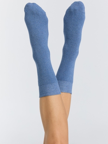 Albero Natur Socks 'Bio-Baumwoll-Frotteesocken Unisex – 4er Pack' in Blue