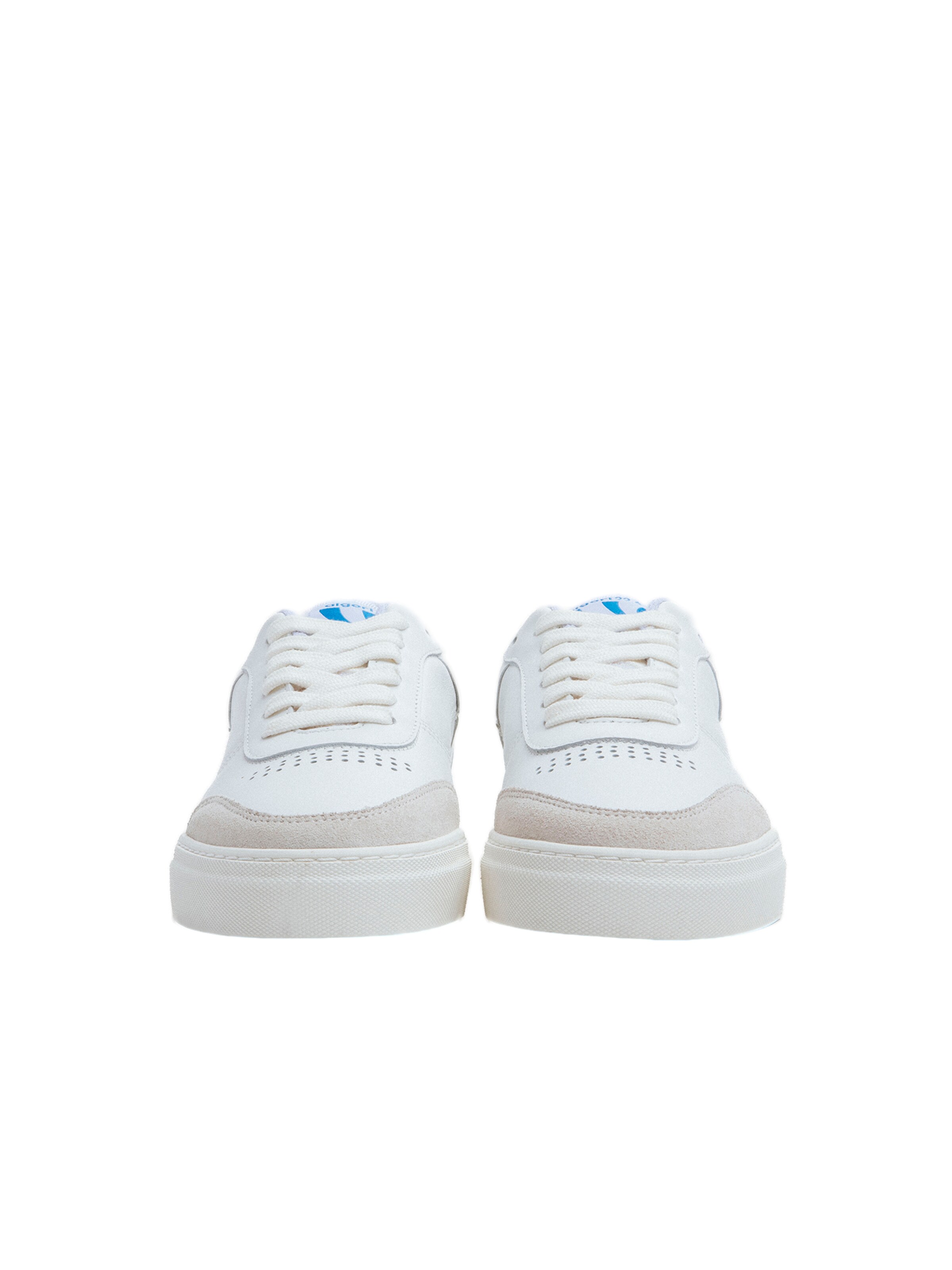 Baskets basses Algori en blanc