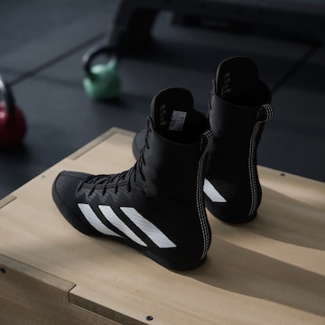 Scarpa sportiva 'Box Hog 4' di ADIDAS PERFORMANCE in nero