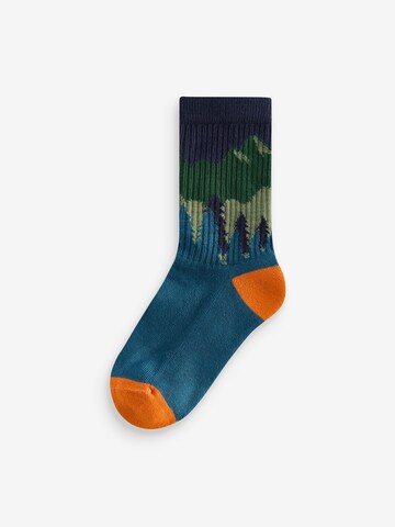 Chaussettes Next en bleu