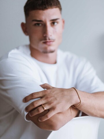 Akitsune Ring 'Purus' in Gold