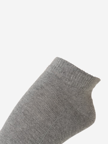 FALKE Къси чорапи 'Family' в сиво