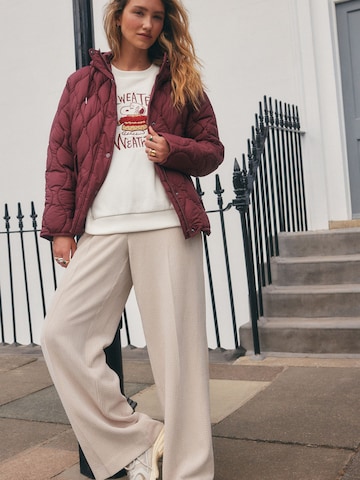 Next Sweatshirt 'Snoopy License' in Beige
