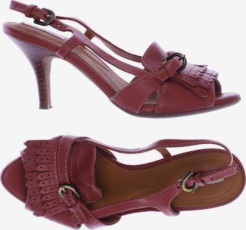 GEOX Sandals & High-Heeled Sandals in 35 in Red: front