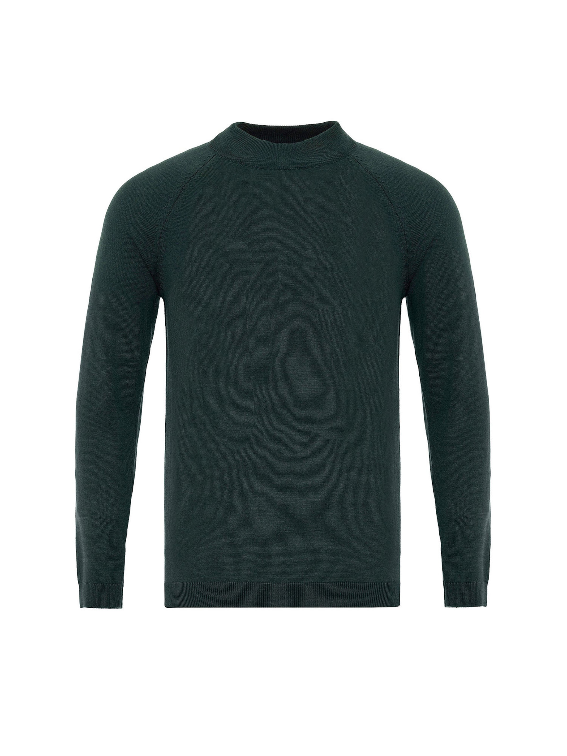 Antioch Свитер в Зеленый: спереди