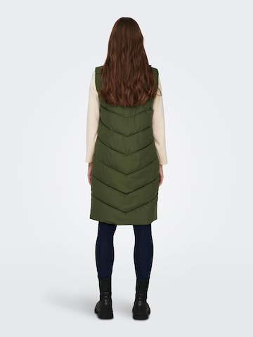 Gilet 'Finno' JDY en vert