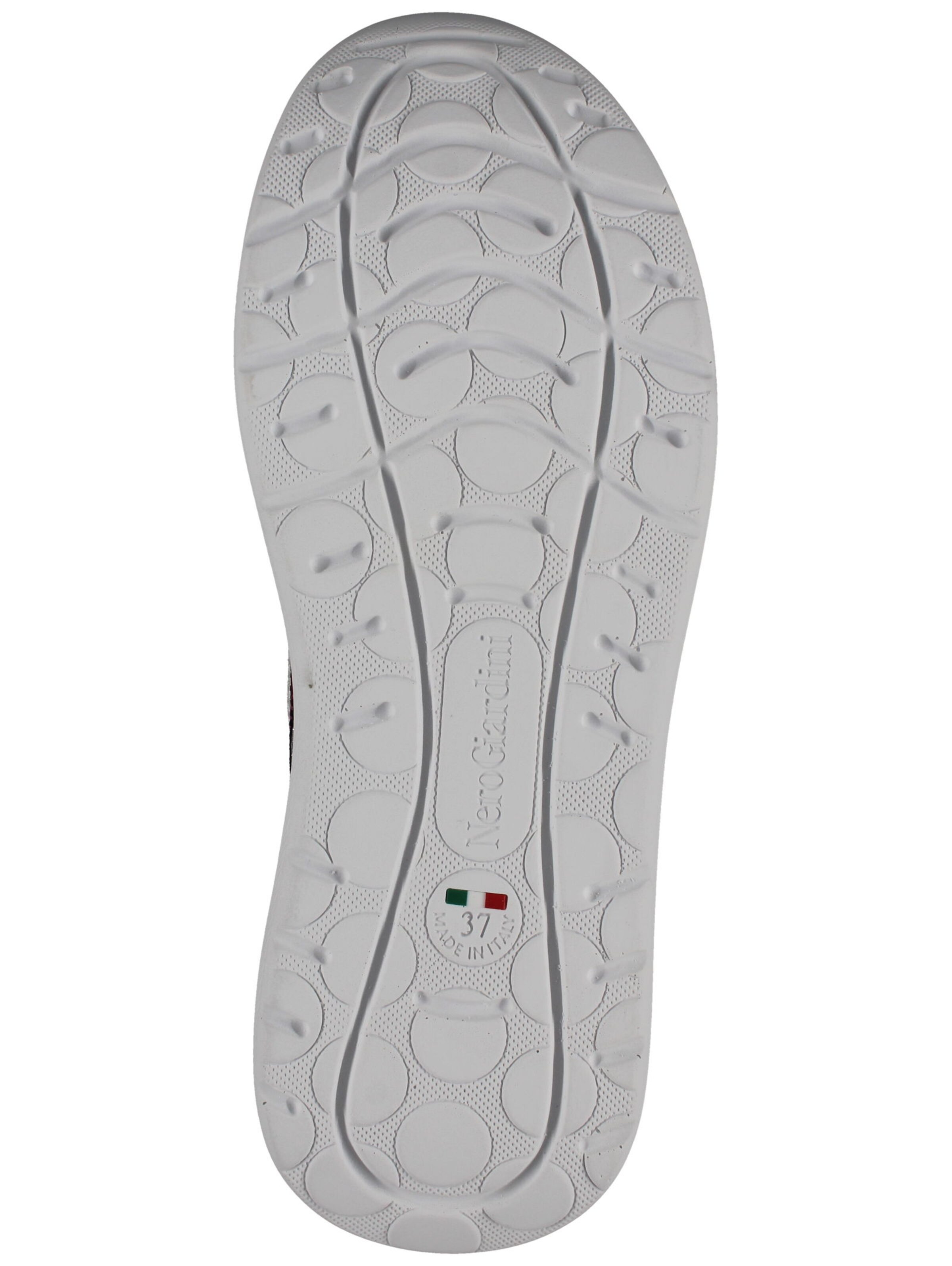 Baskets basses Nero Giardini en mélange de couleurs