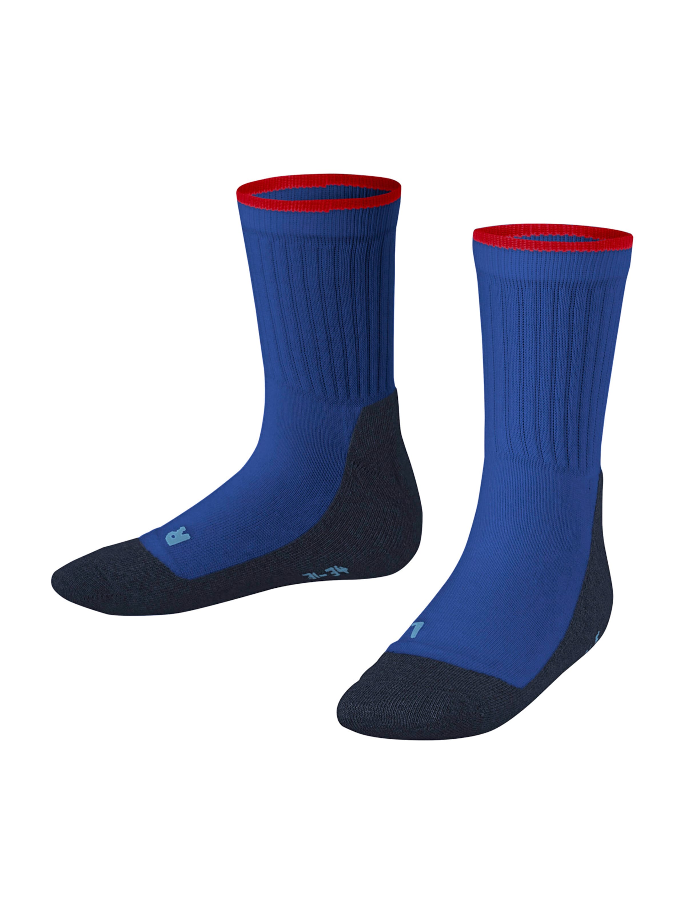 FALKE Sportssokker 'Active Everyday' i blå: forside