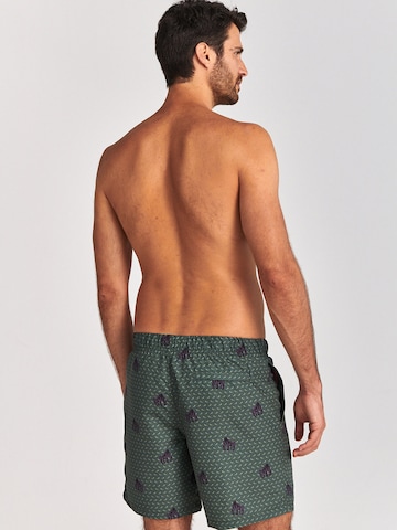 Shiwi Board Shorts in Green