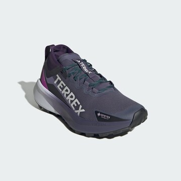 ADIDAS TERREX Low shoe 'Agravic' in Purple