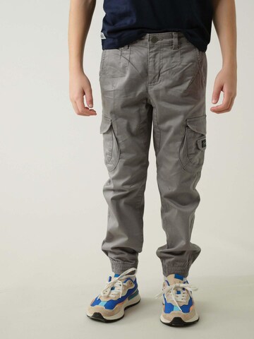 Effilé Pantalon 'Garden' Deeluxe en gris : devant
