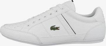 LACOSTE Σνίκερ χαμηλό 'Chaymon' σε λευκό