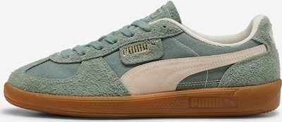 PUMA Sneaker low 'Palermo' i creme / guld / petroleum, Produktvisning