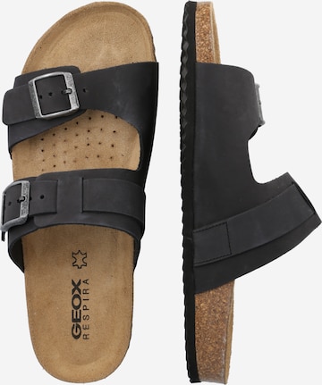 GEOX Mules 'Ghita' in Black