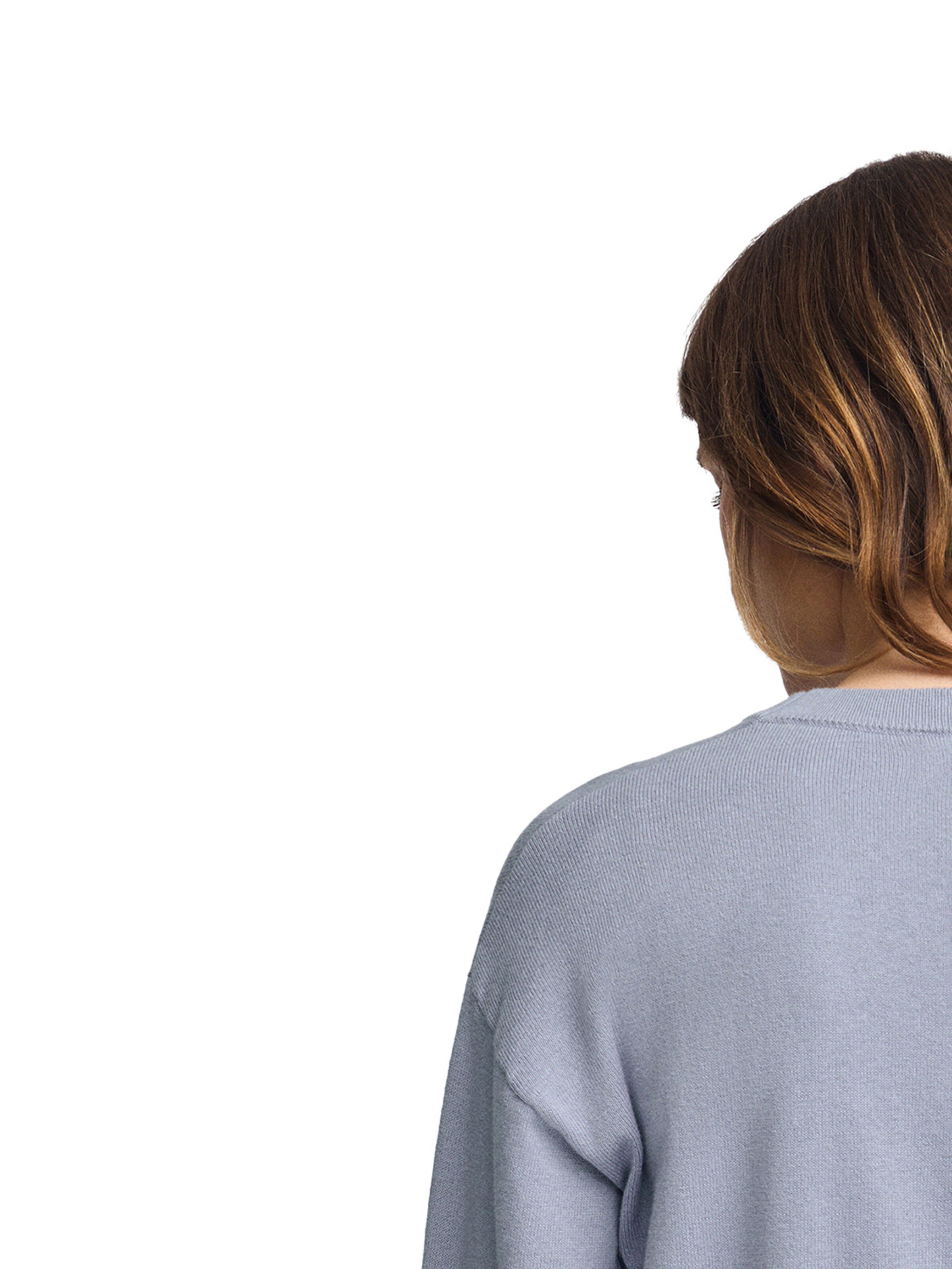 Polo Club Pullover in Blau