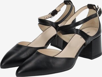 Nero Giardini Pumps in Schwarz