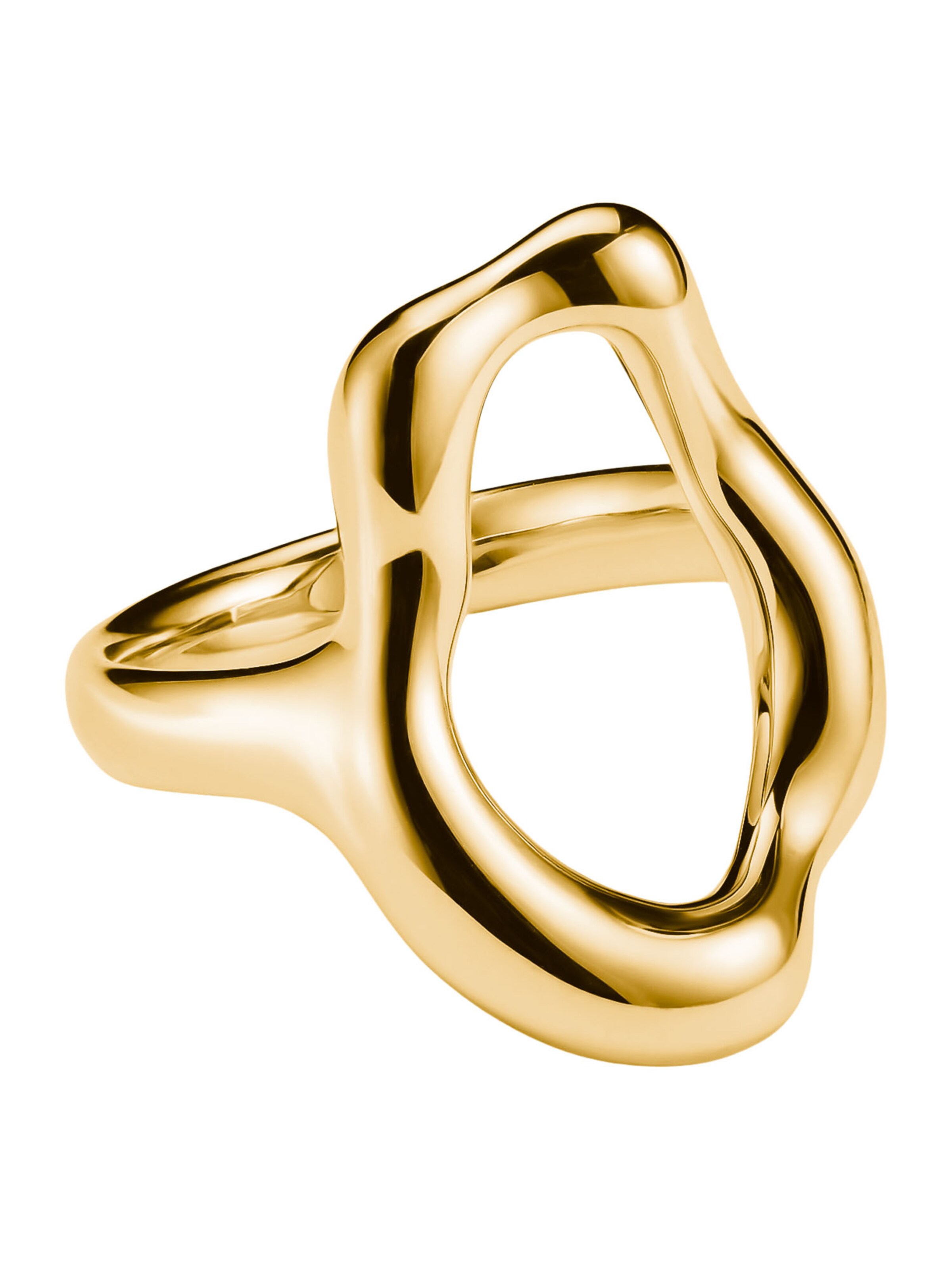 Thomas Sabo Ring in Gold