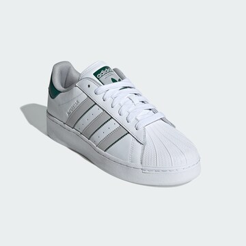 Baskets basses 'Superstar XLG' ADIDAS ORIGINALS en blanc