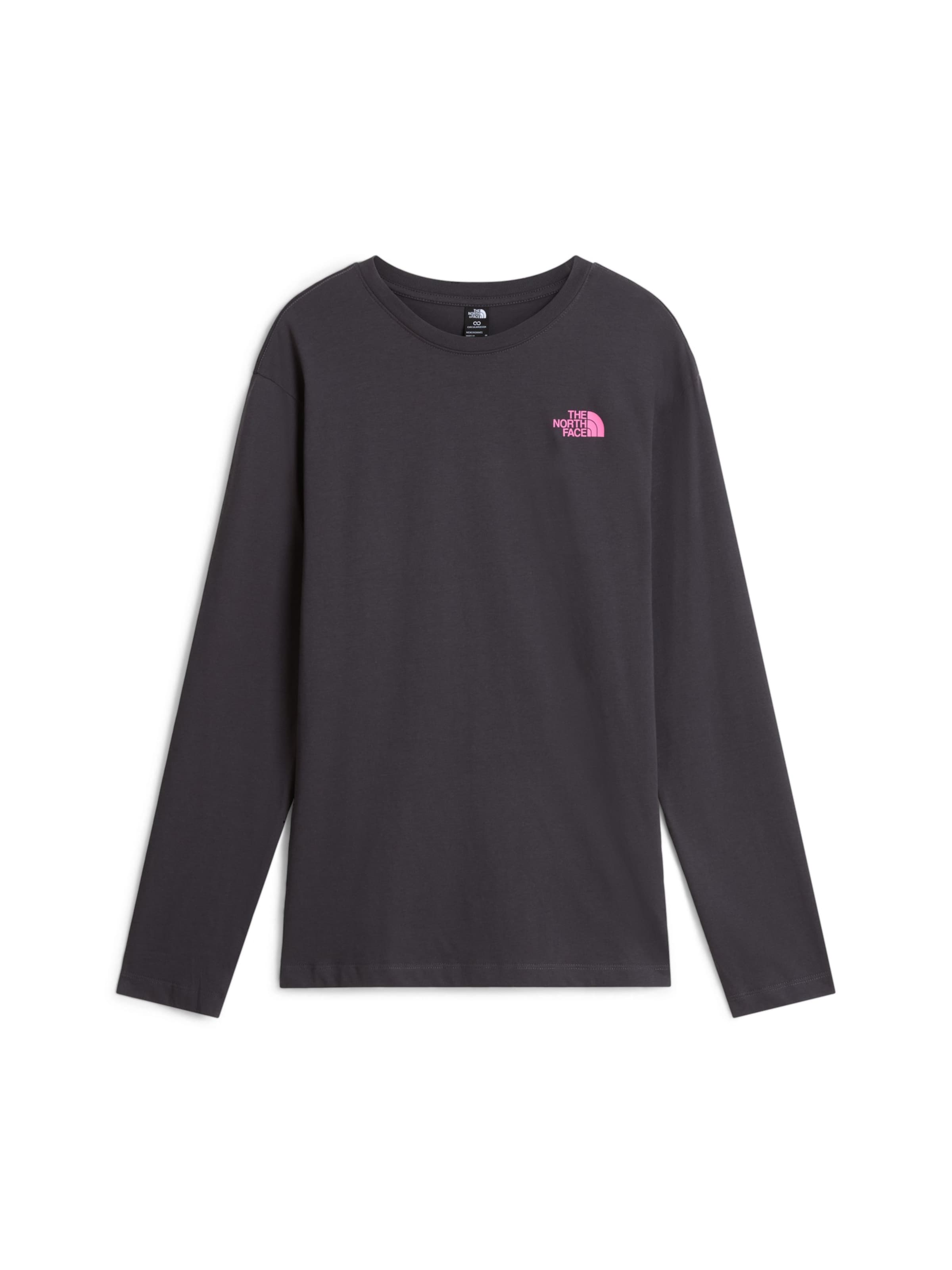 THE NORTH FACE Футболка 'Descent' в Серый: спереди