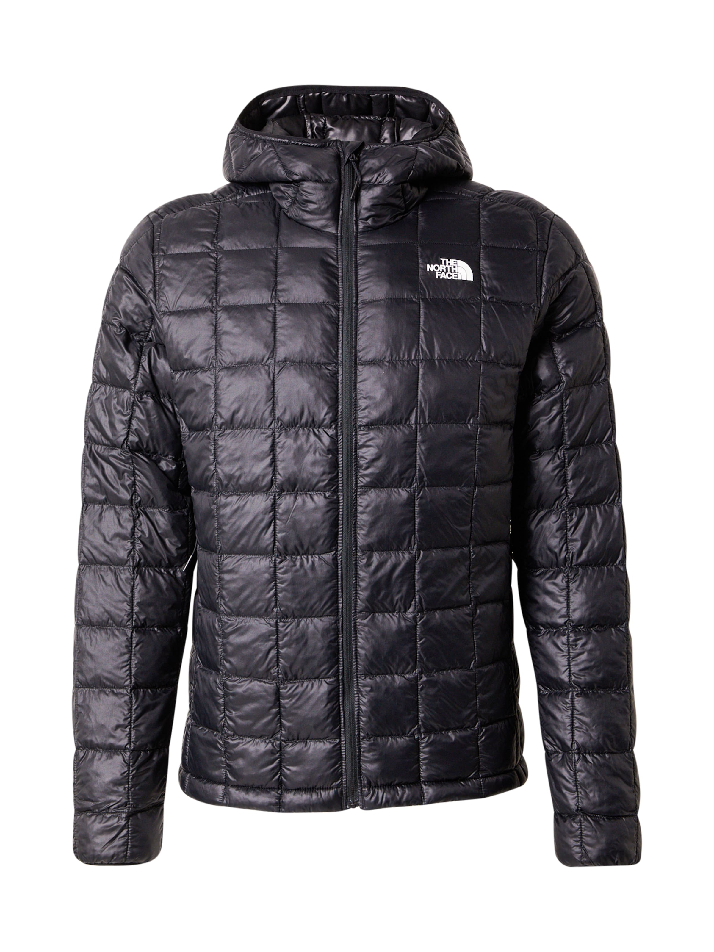 Giacca per outdoor THE NORTH FACE di colore nero / bianco, Visualizzazione prodotti