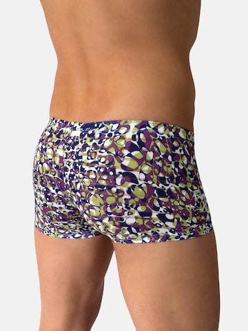 Boxers 'RED2610' Olaf Benz en violet