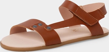Pisamonas - Sandalias en marrón: frente