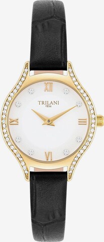 Trilani Analog Watch in Gold: front