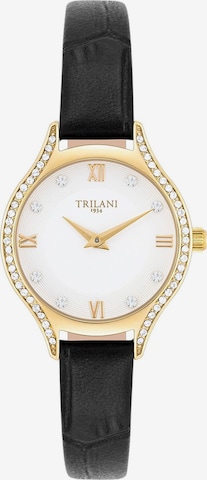 Trilani Analog Watch in Gold: front