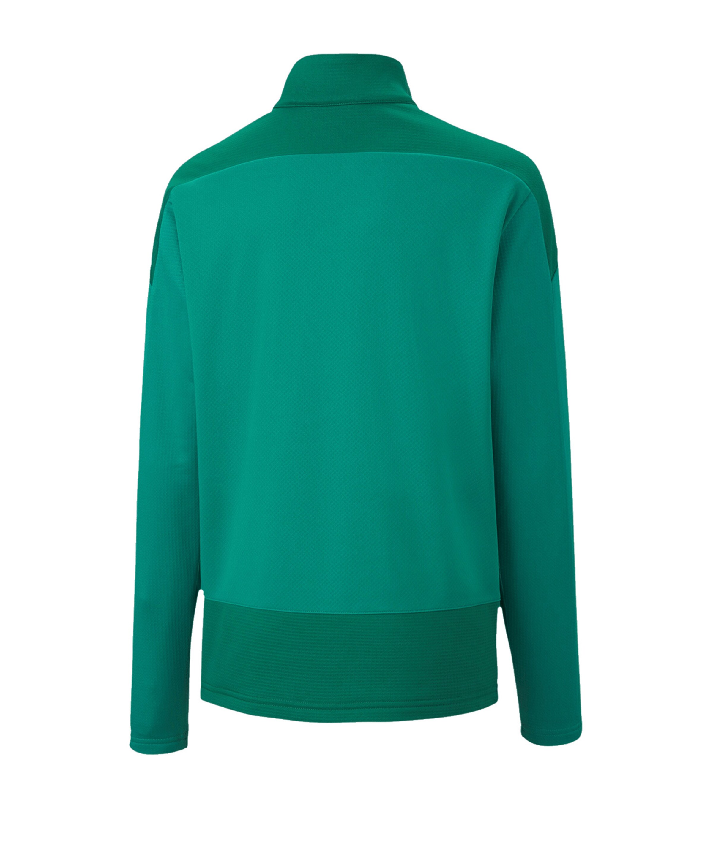 PUMA Sports sweatshirt 'Team Goal 23' in Green