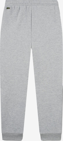 Regular Pantalon LACOSTE en gris : devant