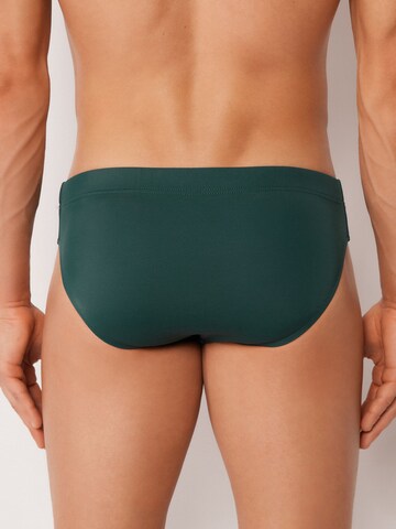 CALZEDONIA Swim Trunks 'Rio' in Green