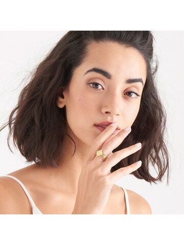 ANIA HAIE Ring in Gold: front