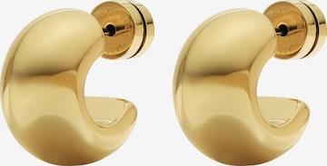 Guido Maria Kretschmer Jewellery Ohrringe in Gold: Vorderseite