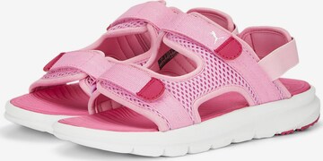 PUMA Open schoenen 'Evolve' in Roze