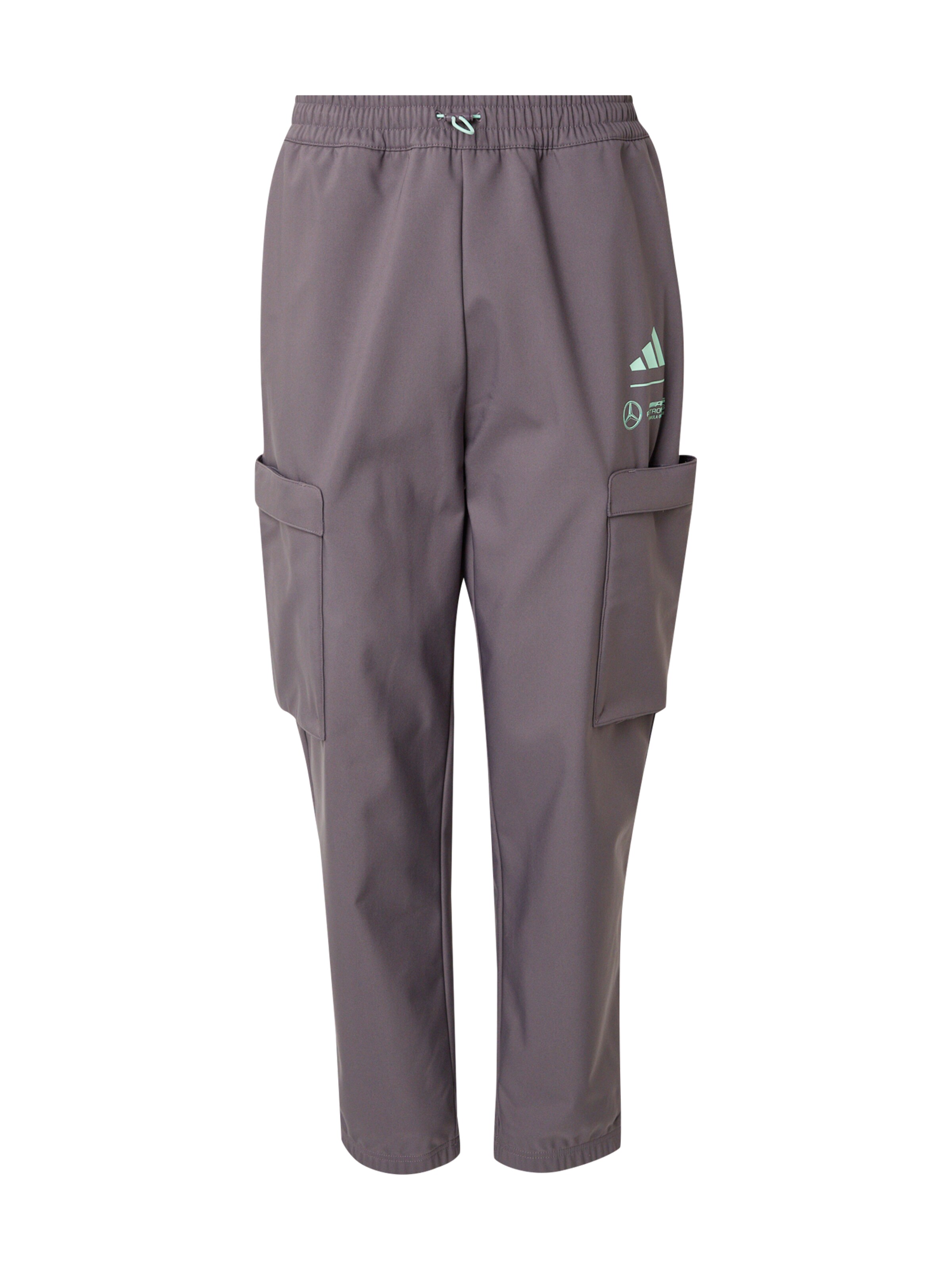 ADIDAS PERFORMANCE Tapered Παντελόνι φόρμας 'Mercedes - AMG Petronas Formula One Team' σε γκρι: μπροστά