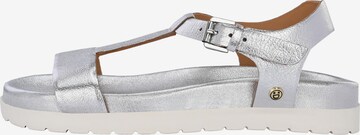 FREUDE Strap Sandals ' ARTE ' in Silver
