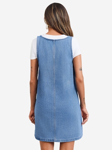 Imily Bela Dress in Blue