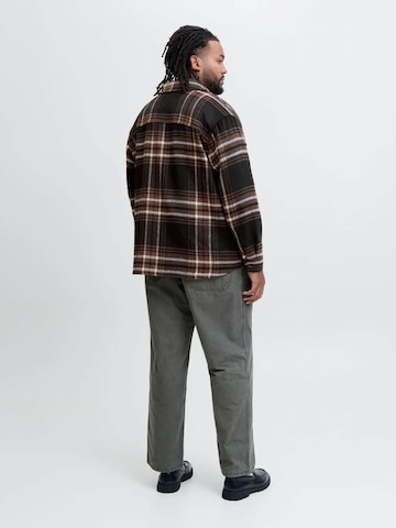 Regular fit Camicia di Jacks & Jones in marrone