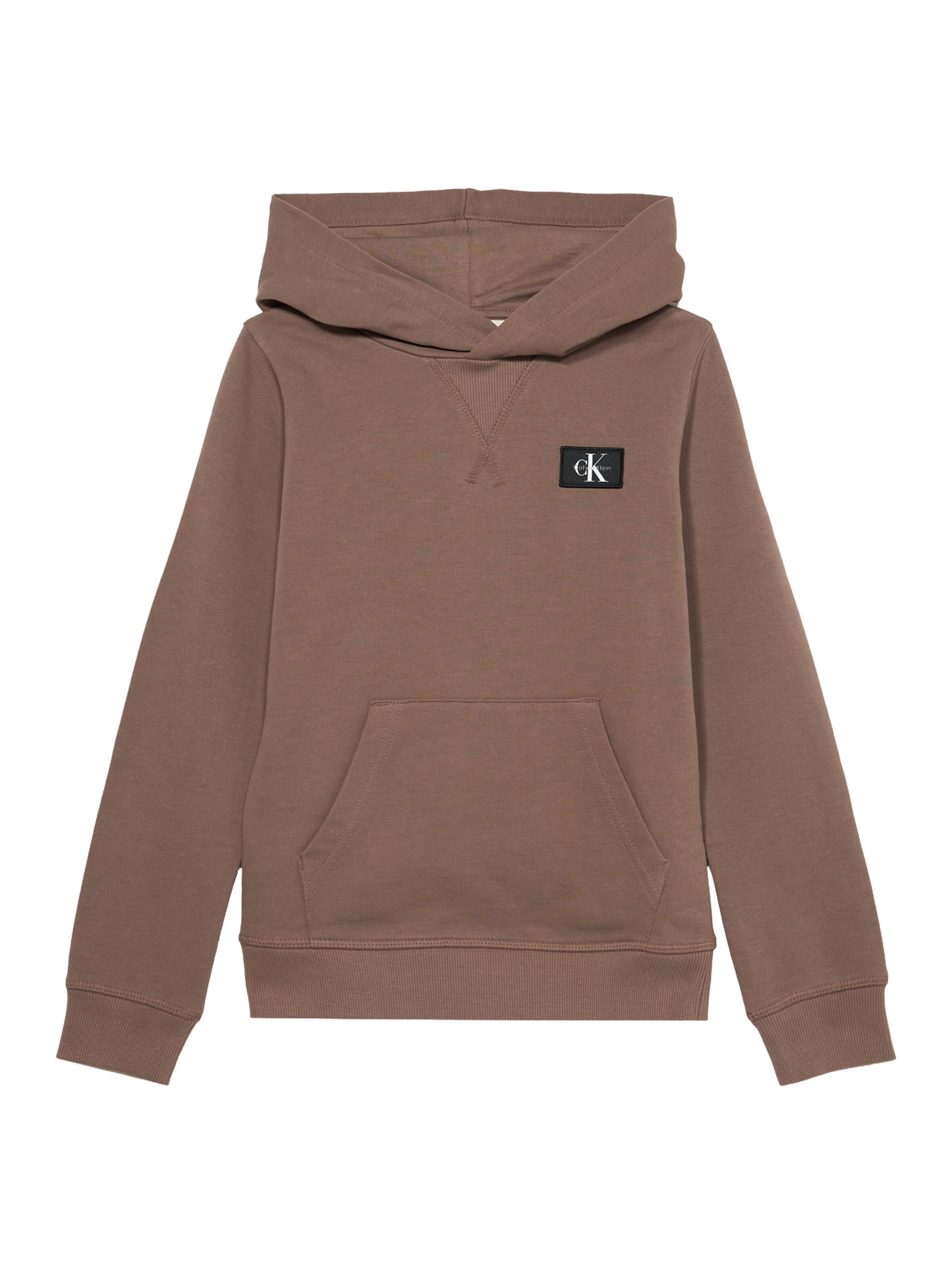 Calvin Klein Jeans Sweatshirt i grå: forside