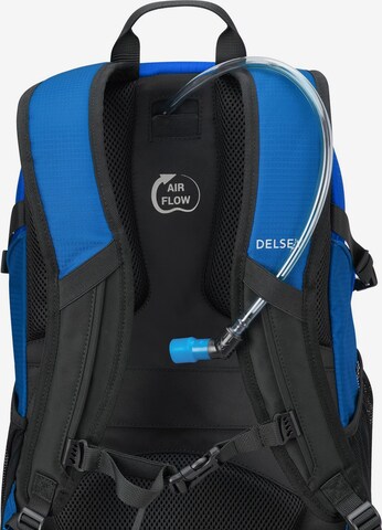 Delsey Paris Backpack in Blue