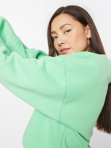 RECC Sweatshirt 'DAKOTA' in Groen