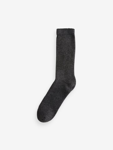 Next Socks in Grey