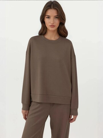 Hiccup Sweatshirt in Braun: Vorderseite