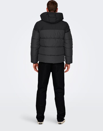 Only & Sons Winter Jacket in Grey