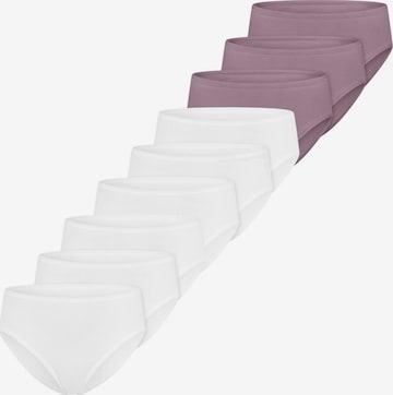 SCHIESSER Slip 'Essentials Cotton' in Lila: Vorderseite