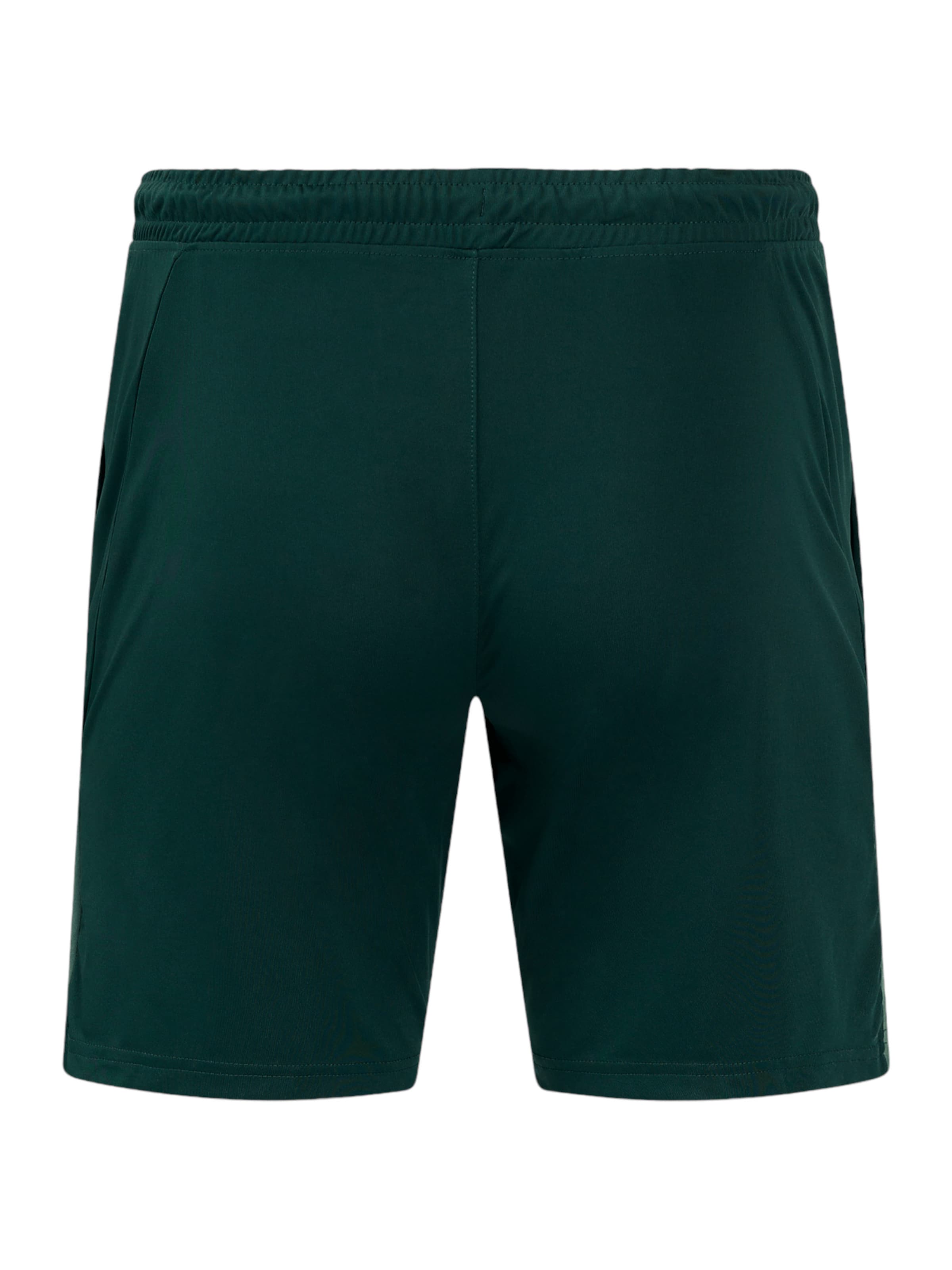 Castor Regular Workout Pants in Green