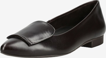 Ballerina di Paul Green in marrone: frontale