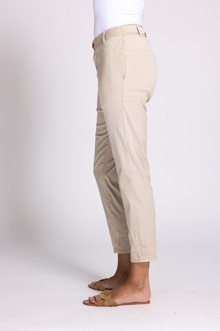 Zhrill Regular Pants in Beige