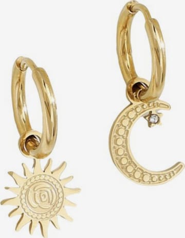 Boucles d'oreilles ASTRADAVI en or : devant